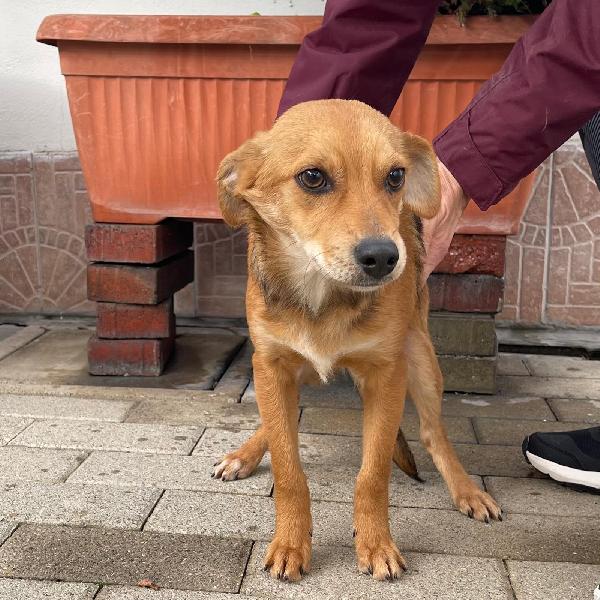 NATHAN  NOAH  NOLAN  Foto 3